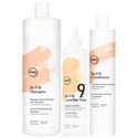 360 Hair Professional DARE TO REPAIR Kit 3 pc.